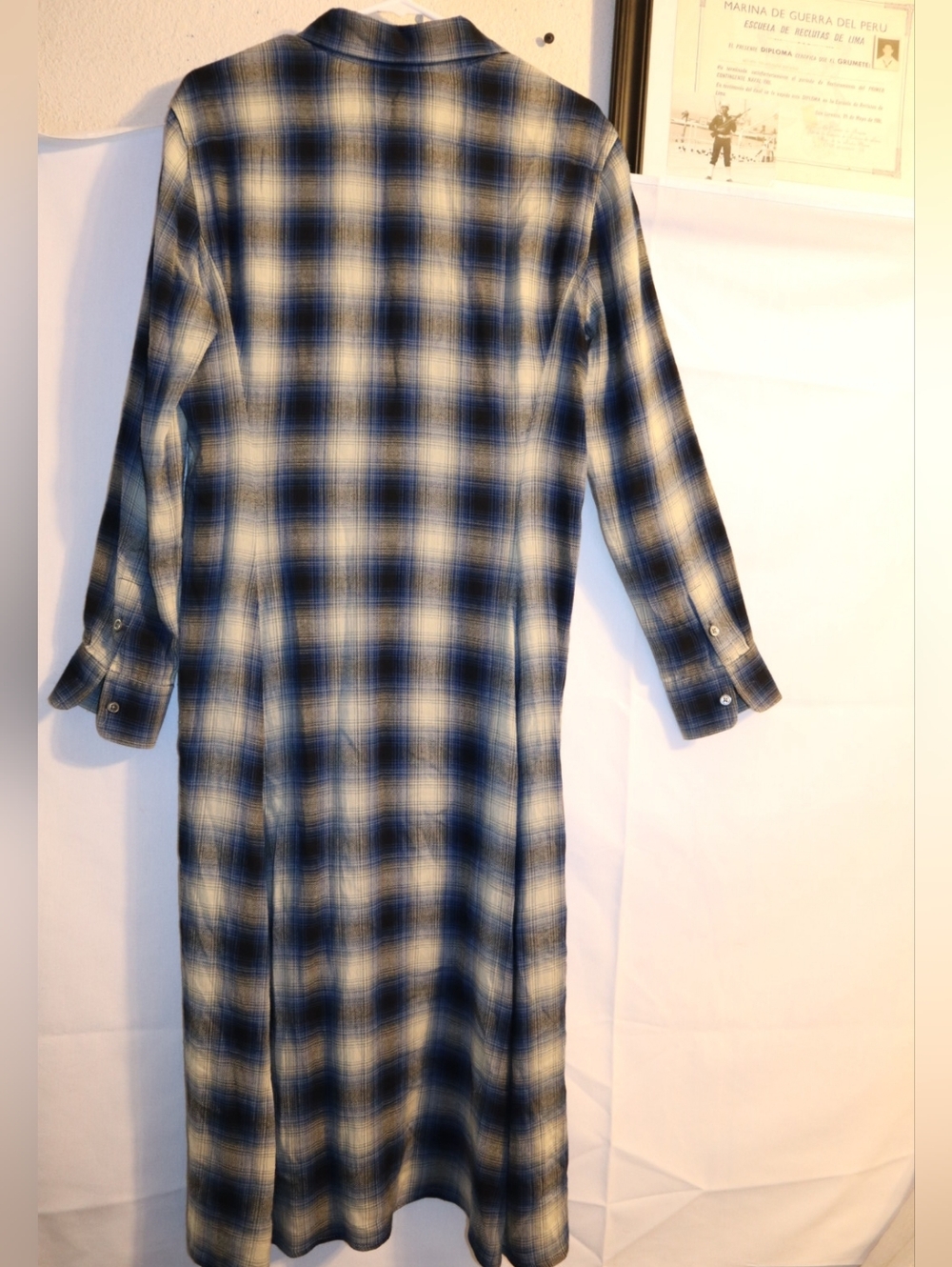 Polo Ralph  Stephanie Lauren Plaid Twill Shirt Dress Blue Plaid Size 8 - Picture 8 of 12